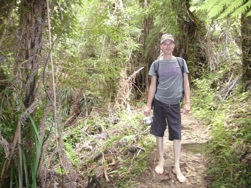 Abel tasman organic track